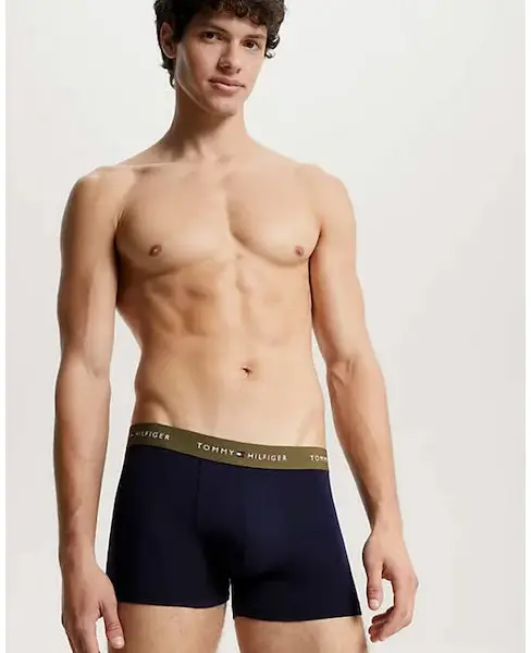 tommy hilfiger Ανδρικά Μποξεράκια 3pack wb trunk um0um02763 0su Μπλε