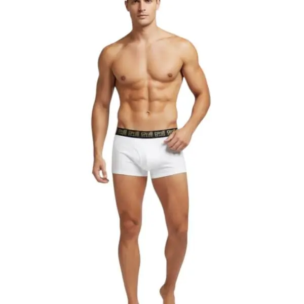 Cavalli Class - Ανδρικά Μποξεράκια 2Pack QXO01FJD003-00053 Λευκό