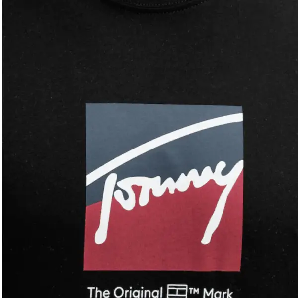 Tommy Hilfiger - Ανδρικό T-shirt Tjm Reg Rwb Dna Tee Dark DM0DM21940-BDS Μαύρο DM0DM21940-BDS