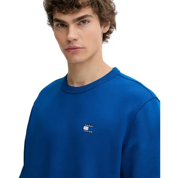 Tommy Hilfiger - Ανδρική Μπλούζα Φούτερ Reg Badge Crew Ext DM0DM20660-0GZ Μπλε DM0DM20660-0GZ