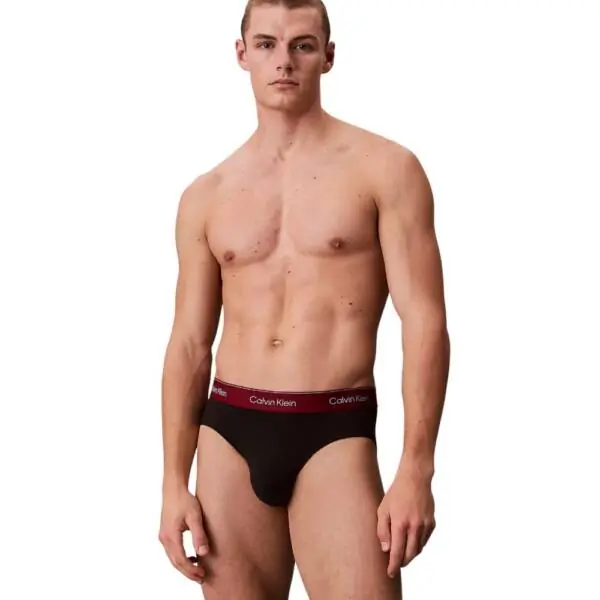 Calvin Klein - Ανδρικά Σλιπ Hip Brief 3Pack LV00NB4388-2VA Μαύρο LV00NB4388-2VA