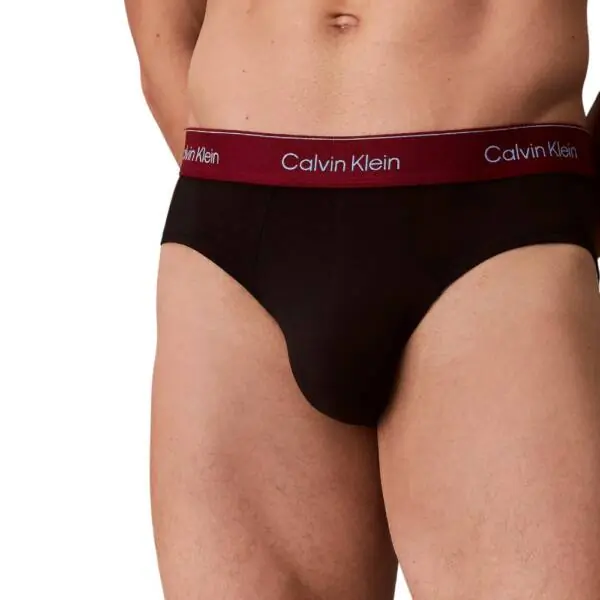 Calvin Klein - Ανδρικά Σλιπ Hip Brief 3Pack LV00NB4388-2VA Μαύρο LV00NB4388-2VA