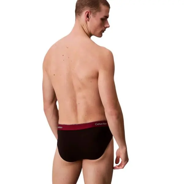 Calvin Klein - Ανδρικά Σλιπ Hip Brief 3Pack LV00NB4388-2VA Μαύρο LV00NB4388-2VA