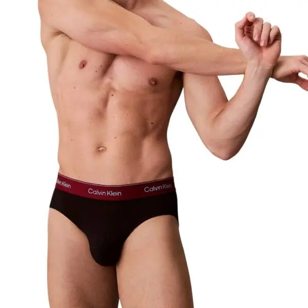 Calvin Klein - Ανδρικά Σλιπ Hip Brief 3Pack LV00NB4388-2VA Μαύρο LV00NB4388-2VA