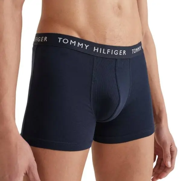 Tommy Hilfiger - Ανδρικά Μποξεράκια 3Pack Essential UM0UM02203-0WS Πολύχρωμο UM0UM02203-0WS