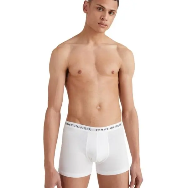 Tommy Hilfiger - Ανδρικά Μποξεράκια 3Pack Essential UM0UM02203-0WS Πολύχρωμο UM0UM02203-0WS