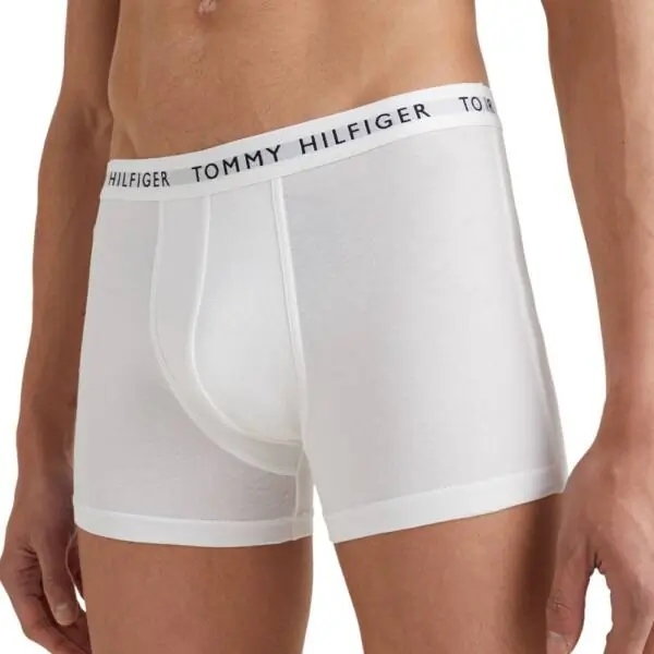 Tommy Hilfiger - Ανδρικά Μποξεράκια 3Pack Essential UM0UM02203-0WS Πολύχρωμο UM0UM02203-0WS