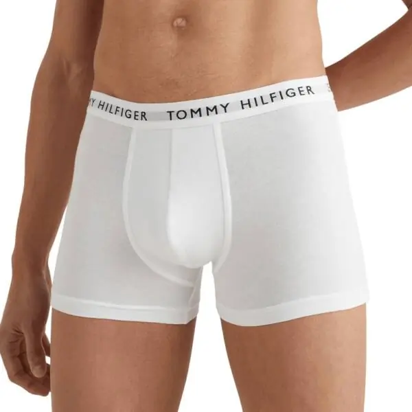 Tommy Hilfiger - Ανδρικά Μποξεράκια 3Pack Essential UM0UM02203-0XK Γκρι UM0UM02203-0XK