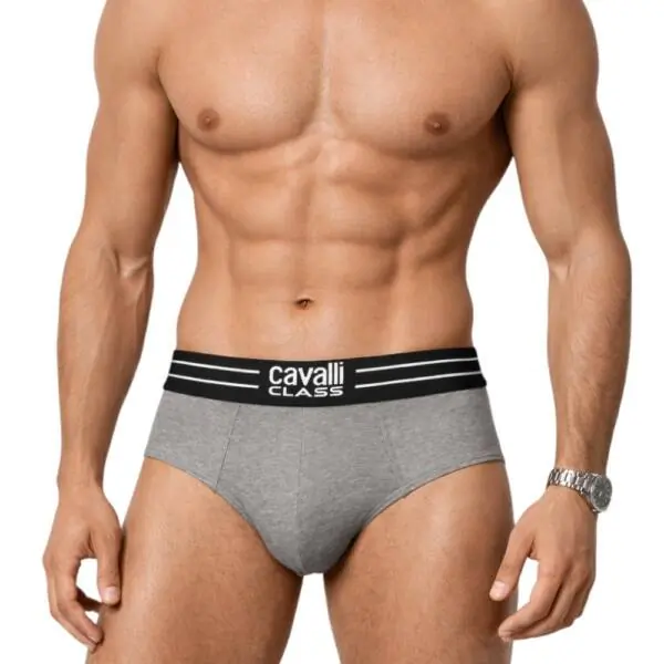 Cavalli Class - Ανδρικά Εσώρουχα Σλιπ 2Pack QXO01IJD003-05014 Γκρι