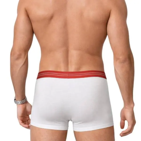 North Sails - Ανδρικά Εσώρουχα 2Pack NS01UTR03-WHITE Λευκό NS01UTR03-WHITE